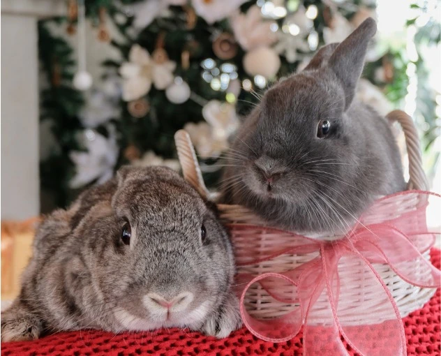 Get Ready for our new Bold Collections!