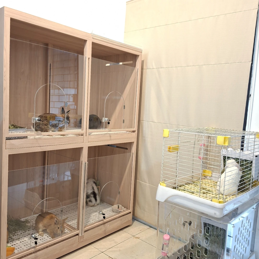 Pet Hotel Rabbit - Big Little Burrow